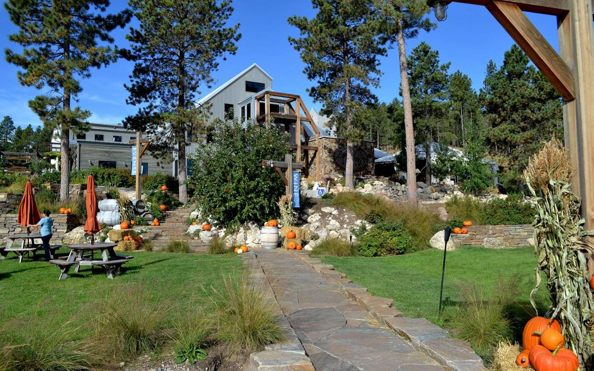 Winery outdoor patio with pumpkins and orange umbrellas