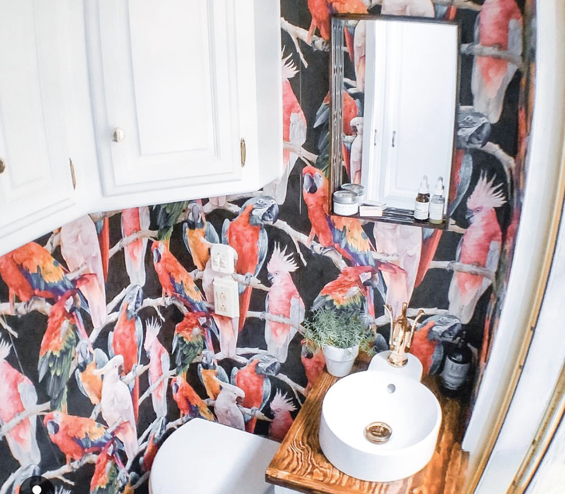 Colorful parrot wallpaper covers the walls of a bathroom.