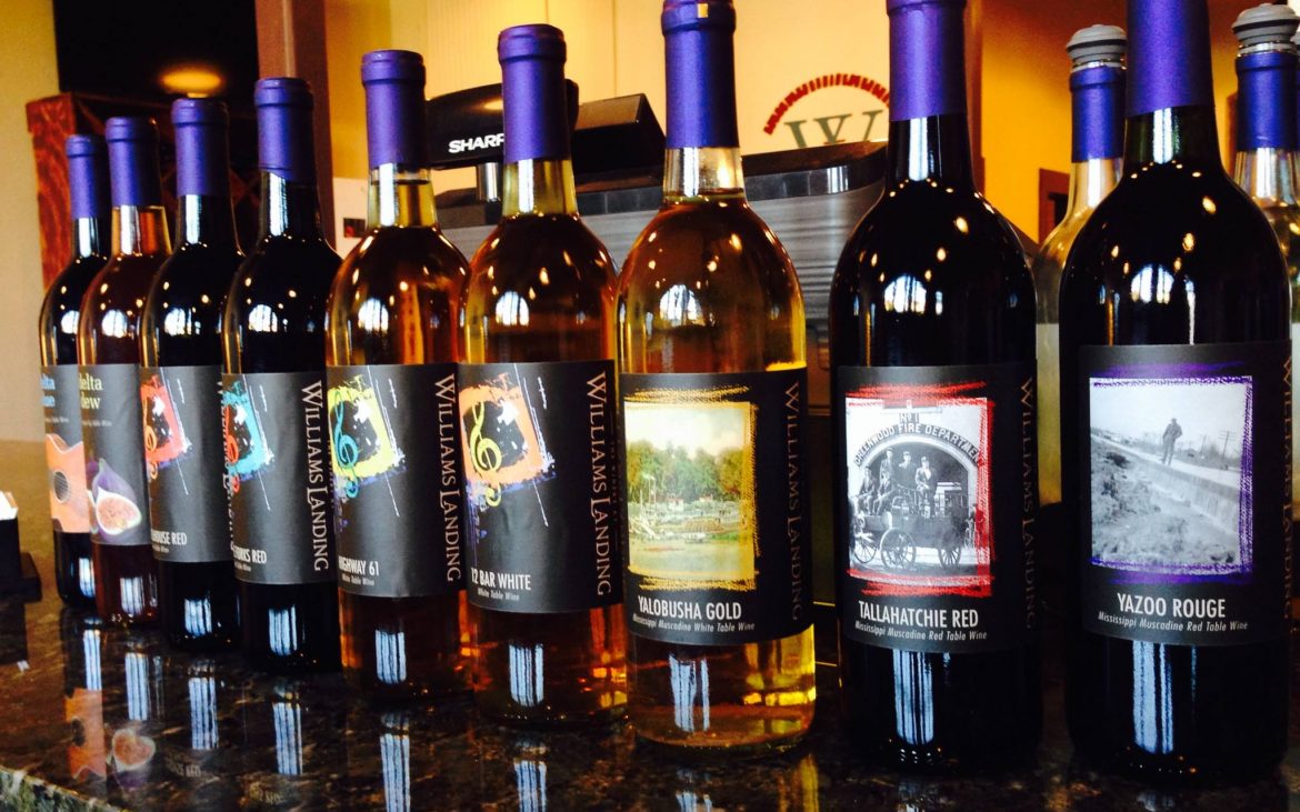Row of several wine bottles placed on bar
