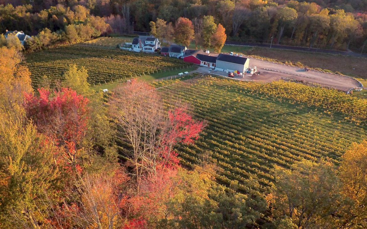 Aerial image of Connecticut vineyard and winery in fall