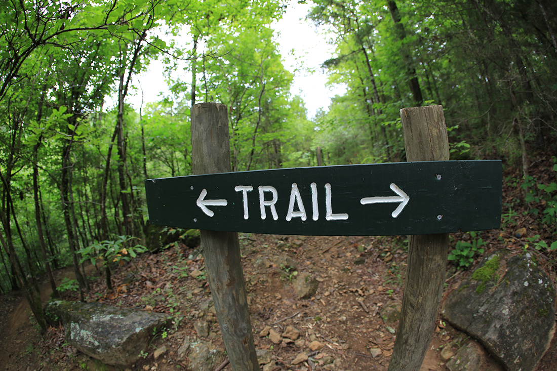A trail sign points in both right and left directions.