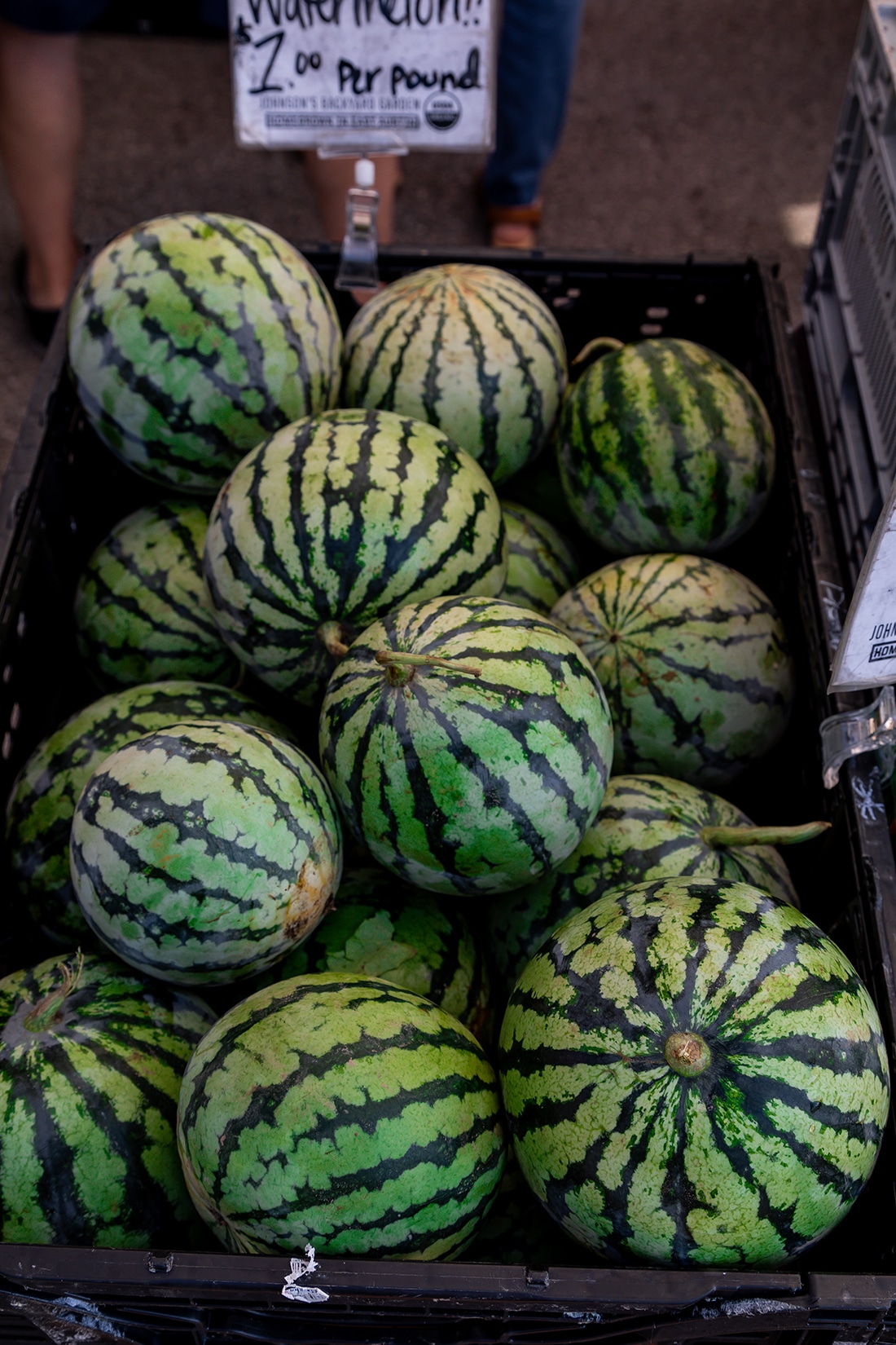 About 20 round melons stacked at a farmers market.
