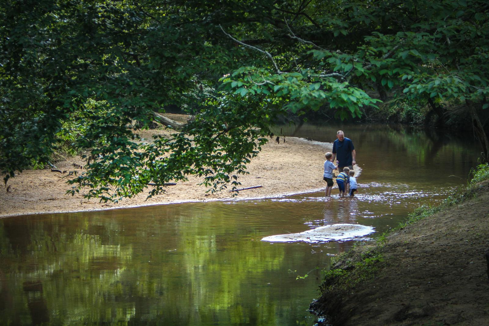 A man and three children play in a gentle creek.