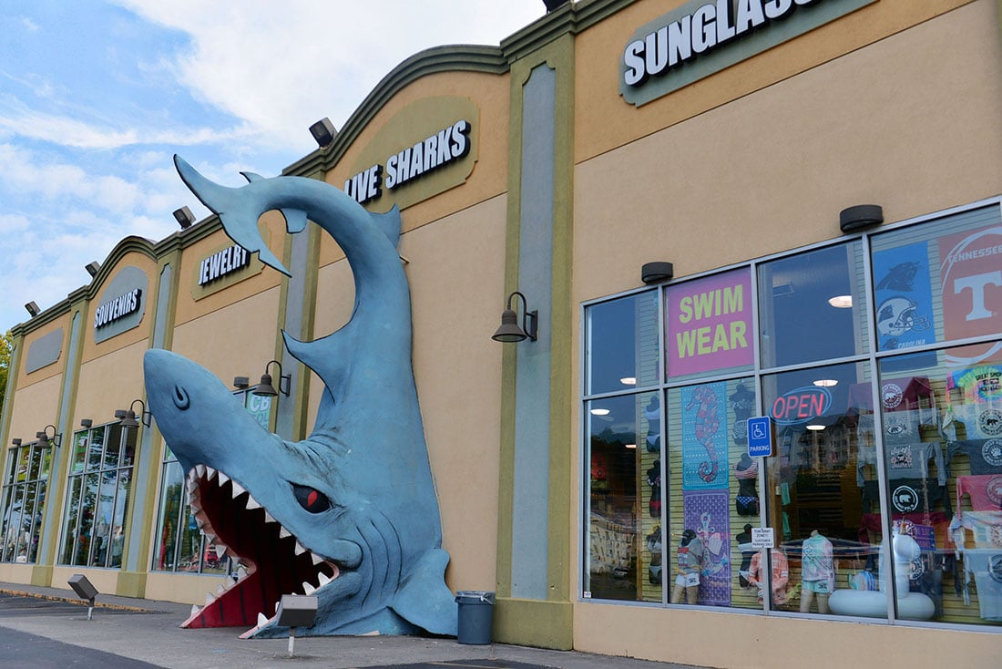 A big shark statue in front of a strip mall selling sunglasses and swimwear.