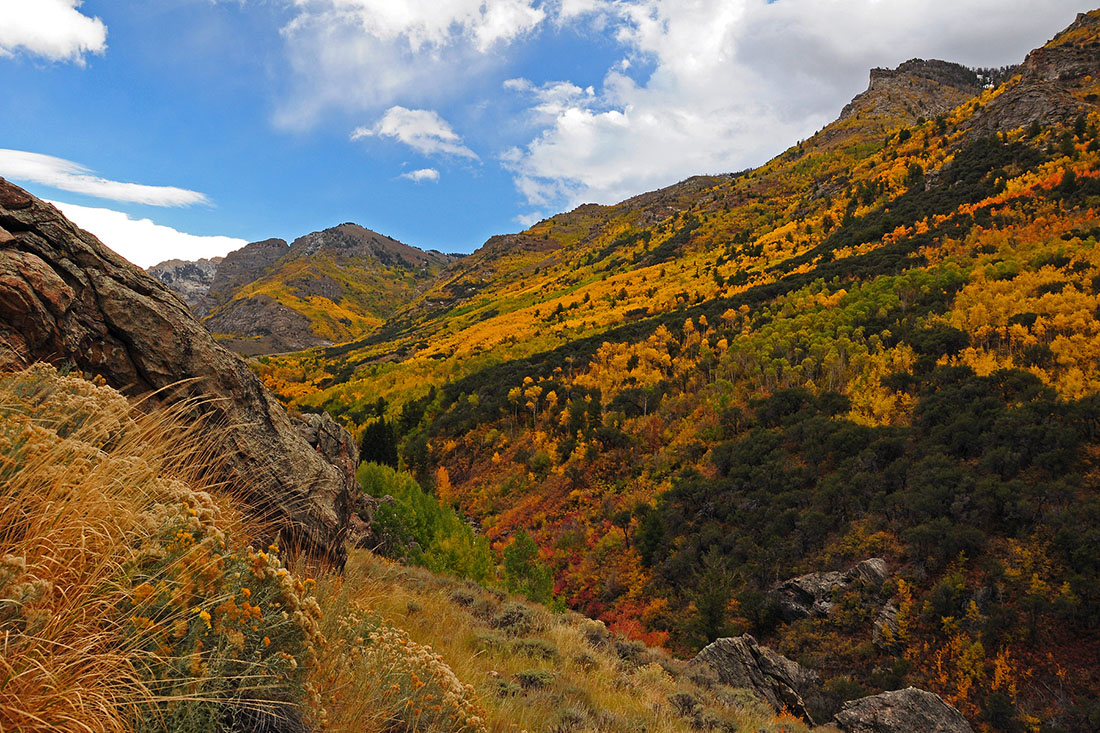 Fall colors of gold and yellow cover a rugged canyon, making it a great sleepy fall rv destination