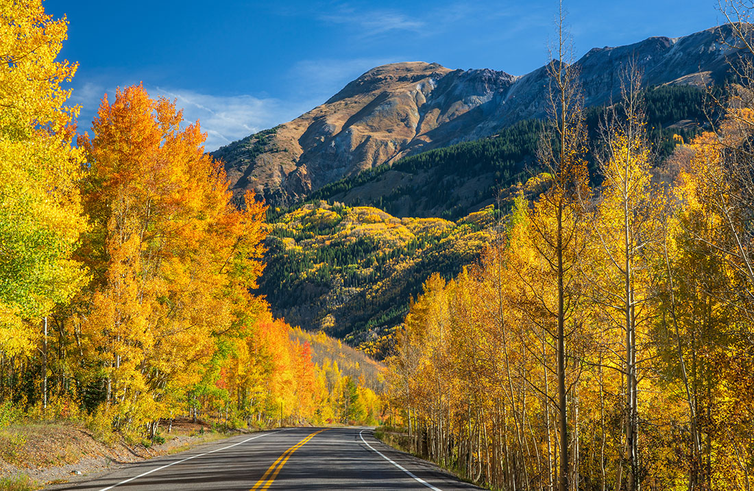 Gold-tinted trees flank a highway with mountains in the background. 