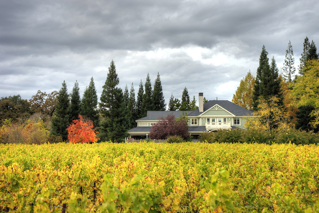 Golden grape vines (foreground) and and red and yellow trees frame an elegant house.
