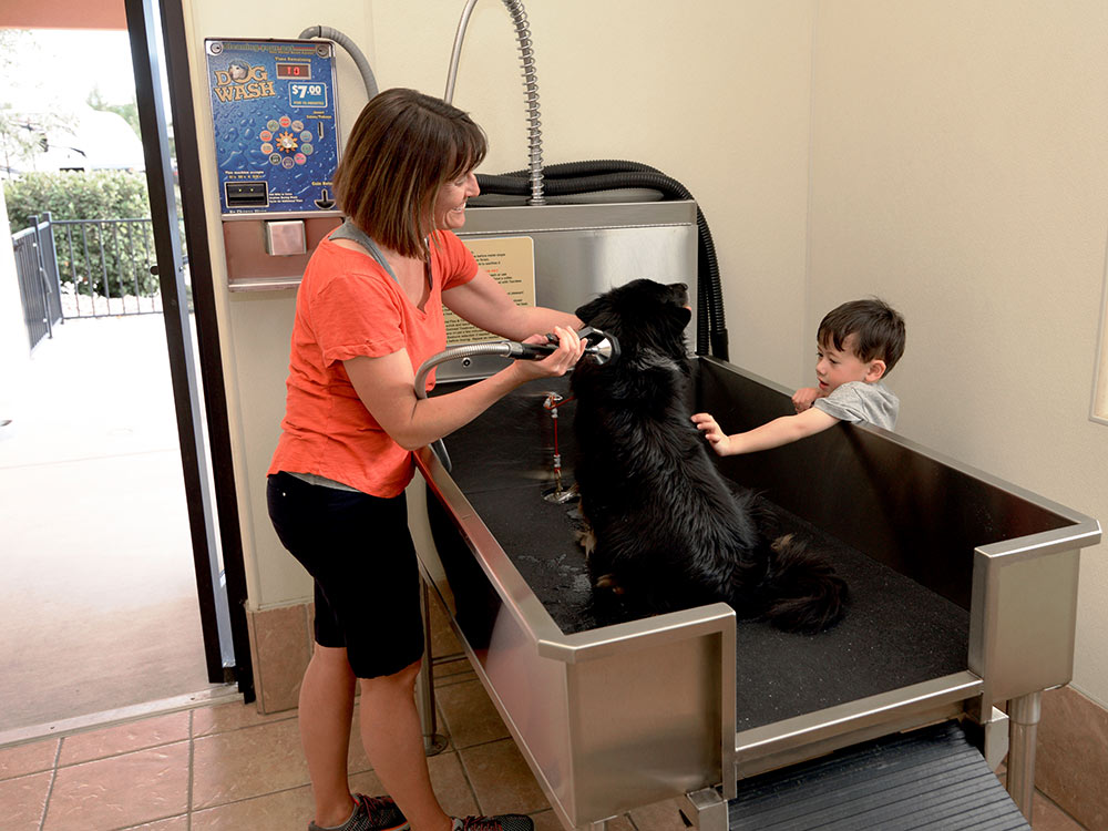 A woman washes a black labrador in a stainless steel basin with hose and nozzle while a small child helps her. 