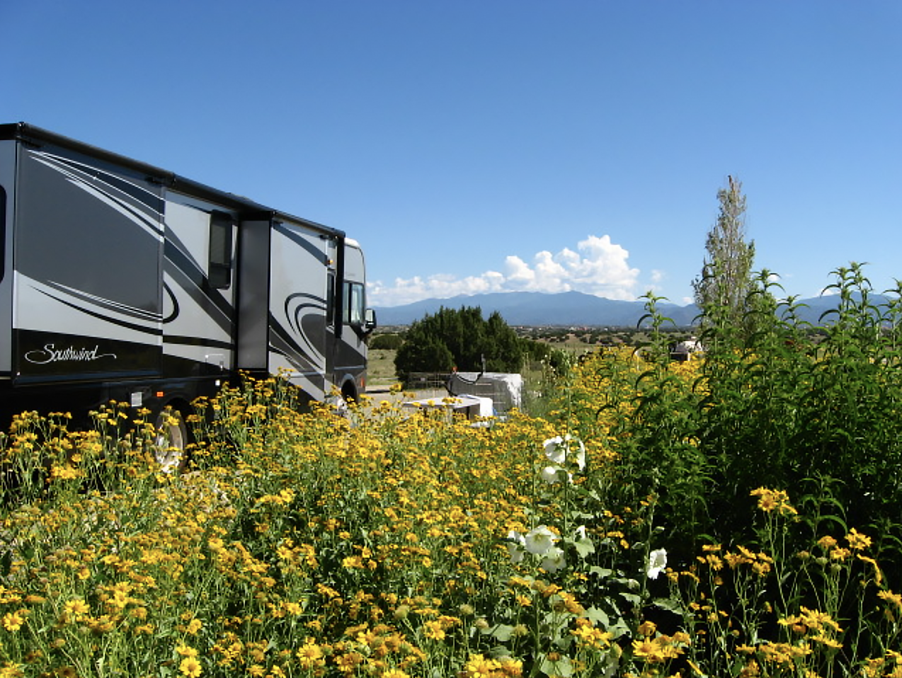A field of flowers foregrounds a Southwind motorhome on the left side of the frame; hills and clouds form the horizon on the right.