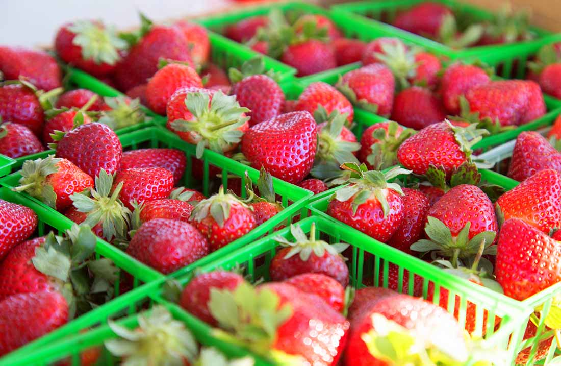 Strawberries in baskets jammed together on display.