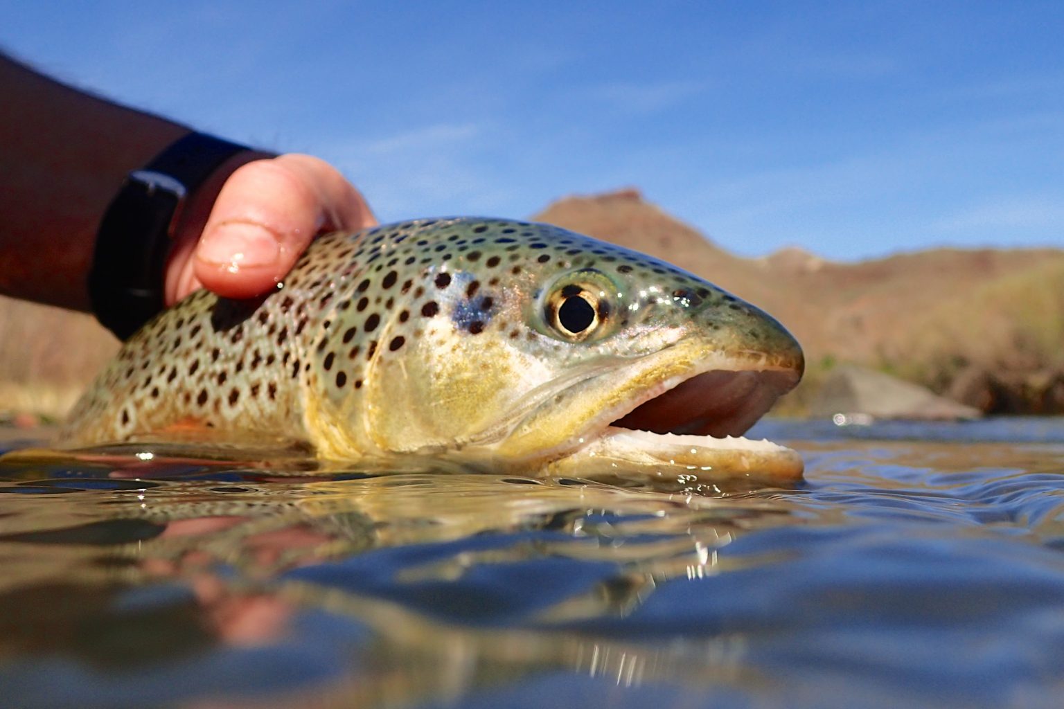 Wide Open Fishing In The Pacific Northwest Lakes And Rivers Good Sam