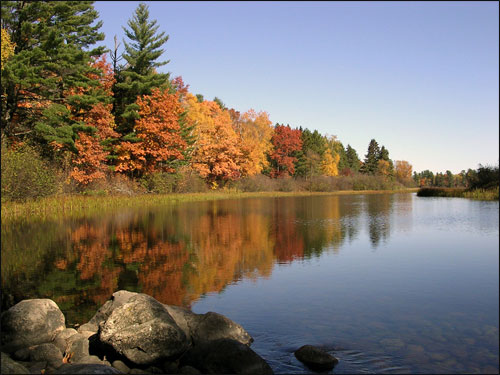 Fall foliage along the shallow, rocky Namekagon River in WI.