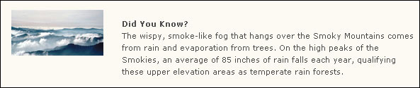Evaporating moisture from rain and trees causes the smoke-like fog of the Smoky Mountains
