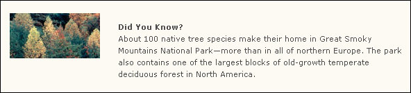 100 native tree species live in the park, more than all of Northern Europe