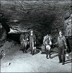 ccc workers with mules in cave