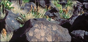 petroglyphs on basalt boulders