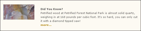 petrified wood at the park is almost solid quartz, so hard it can only be cut by a diamond-tipped saw
