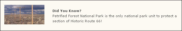 Petrified Forest is the only national park to protect part of historic Route 66