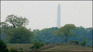 view-of-obelisk-over-tree-line