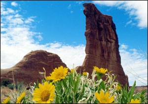 
Mules Ears and Courthouse Towers