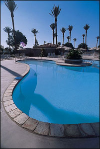 outdoor pool with palms