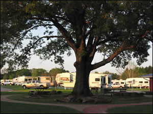 mill-creek-ranch-rv-resort-rv-sites