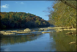 tree-lined-banks-and-chattahoochee-shoals