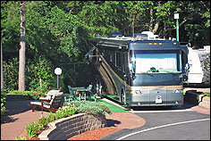 wells-beach-backin-rv-site