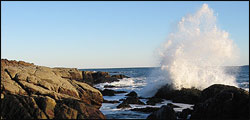 Acadia National Park Maine ME MS708A Details about   Postcard High Surf along Ocean Drive 