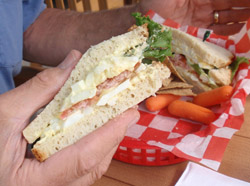 Sandwich served on gluten-free bread