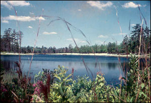 indian-branch-campground-lake-view