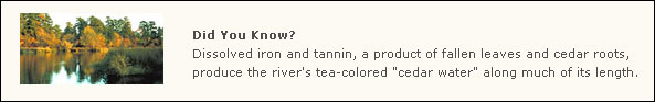 iron-and-tannin-from-fallen-leaves-produce-the-river's-tea-colored-water