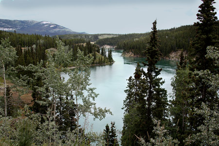 The Yukon Between Whitehorse and Our RV Park