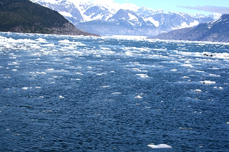 Our Catamaran, The Valdez Spirit, Plows Through Ice to Reach the Glacier
