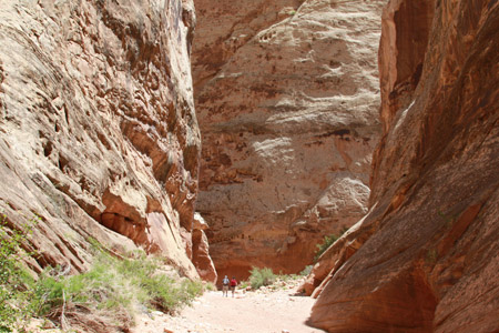 Our French Guest Stroll Through the Grand Wash in Capital Reef (They are in this photo)