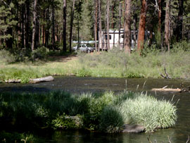 metolius_river_campground4