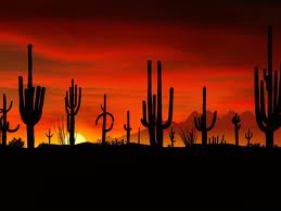 sunset_desert