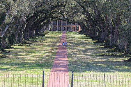 The Magnificent Oak Alley Plantation, 50 Miles Upriver from New Orleans