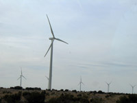 Windmills - 2729