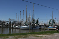 Fishing Boats back from their early morning seafaring work