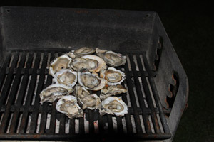 I opened a dozen raw oysters and Monique grilled them.  Seafood is a major reason for visiting South Louisiana and the Gulf Coast.