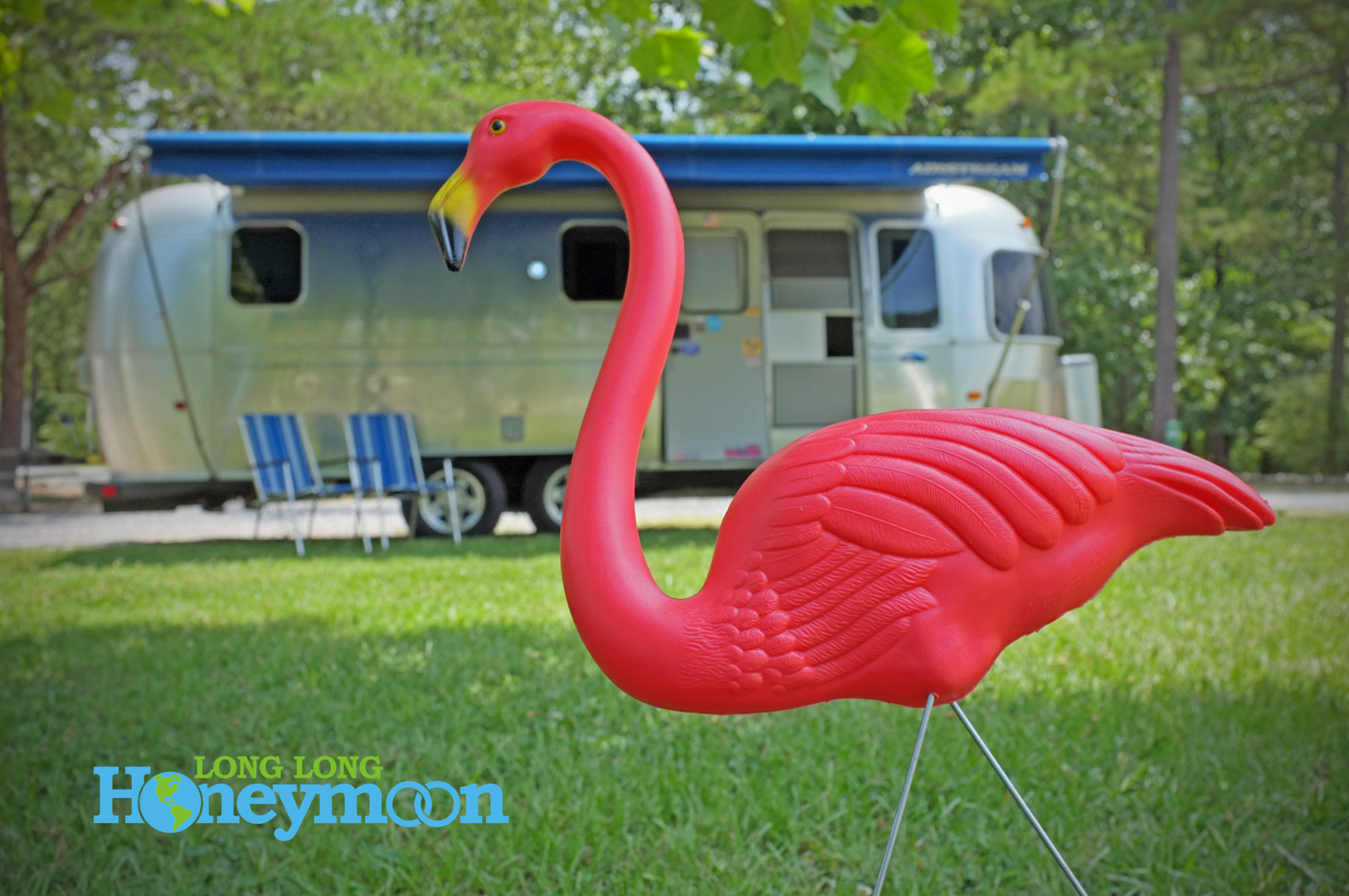 FLAMINGOS! Do YOU bring along pink flamingos when you camp? Good Sam