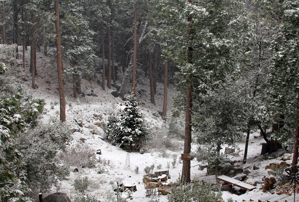 Snow begins to cover the creek bed on our property, a beautiful scene that keeps us indoors