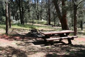 steel_bridge_rec_area_campground