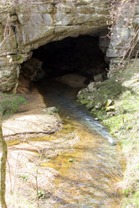 The beginning of seven miles of Russell Cave