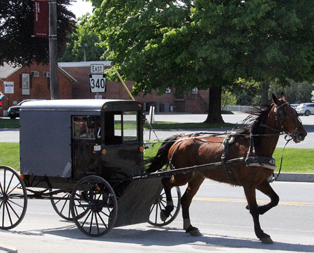 Drive slowly.  These horse-drawn buggies are common along the roads.