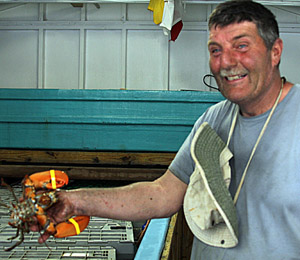 Kenny picks out a few lobsters to be cooked up by Monique for our Atlantic Coastal dinners