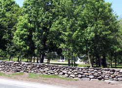 Stone fences abound in this part of New England