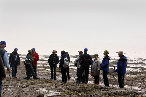 Members of our Caravan Descended onto the sea bed of the Bay of Fundy