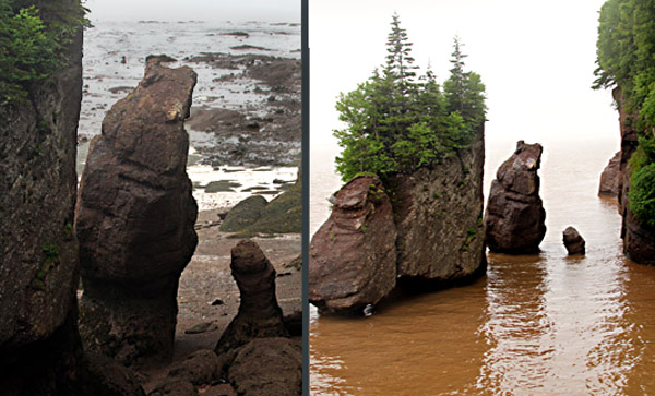 A Rock Bear stand firm as the Bay of Fundy tide rolls in from zero, at left, to 42 feet. The monolith in the middle is one of Hopewell Rocks' famous "flowerpots."